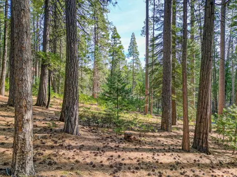 2625 Linnet Ln, Arnold, CA 95223