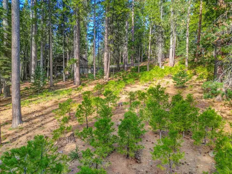 2625 Linnet Ln, Arnold, CA 95223 photo 10