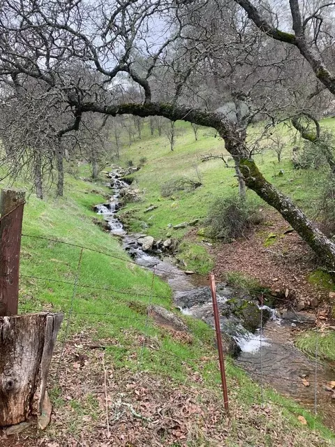 Other - 1172 Hodson Rd, Copperopolis, CA 95228 photo 5 of 38