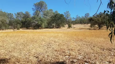 Other - 1172 Hodson Rd, Copperopolis, CA 95228 photo 35 of 38