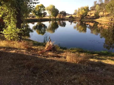 View/Area - 1172 Hodson Rd, Copperopolis, CA 95228 photo 8 of 24