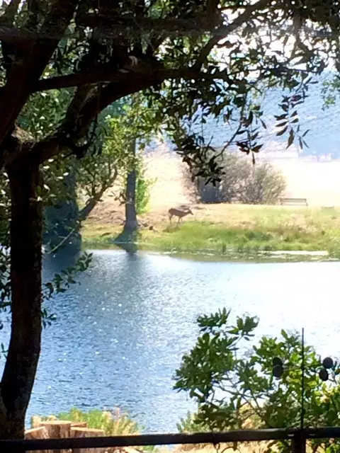 View/Area - 1172 Hodson Rd, Copperopolis, CA 95228 photo 9 of 24