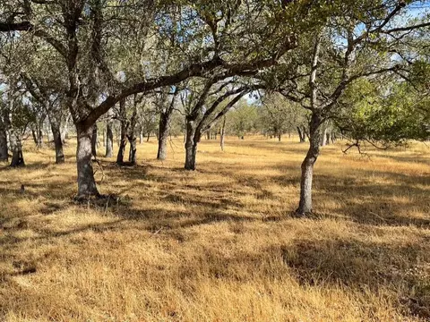 Exterior - 1172 Hodson Rd, Copperopolis, CA 95228 photo 20 of 26