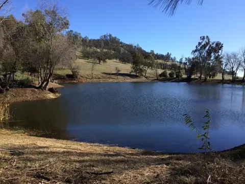 View/Area - 1172 Hodson Rd, Copperopolis, CA 95228 photo 14 of 24