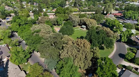 View/Area - 821 High St, Modesto, CA 95354 photo 2 of 3