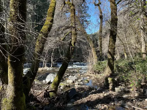 18635 Highway 26, Glencoe, CA 95232 photo 10