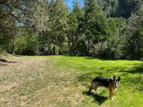 18635 Highway 26, Glencoe, CA 95232 photo 14