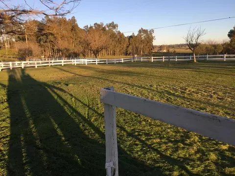 Exterior - 6949 Eric Ln, Wheatland, CA 95692 photo 1 of 11