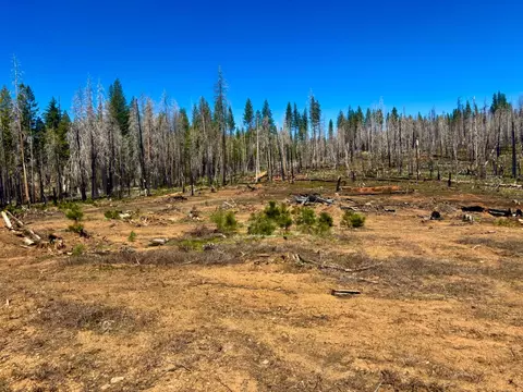 0 34 Ac Huggy Bear Ln, Grizzly Flats, CA 95636