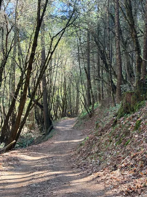 6400 Shoo Fly Rd, Placerville, CA 95667 photo 7