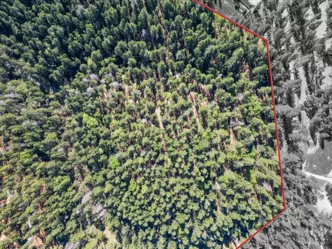 6400 Shoo Fly Rd, Placerville, CA 95667 photo 3