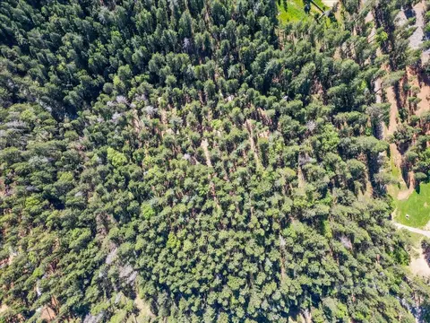 6400 Shoo Fly Rd, Placerville, CA 95667 photo 10