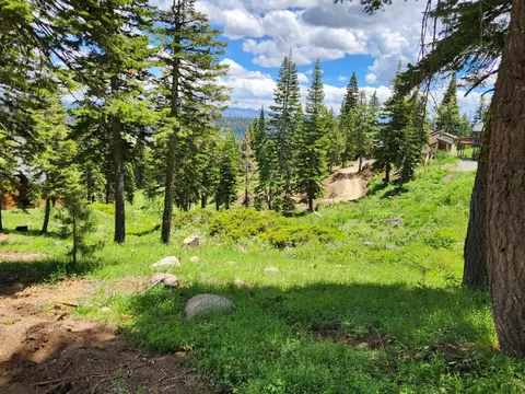 350 Snowshoe Rd, Bear Valley, CA 95223