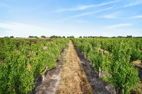 0 Andrus Island Rd, Isleton, CA 95641 photo 33