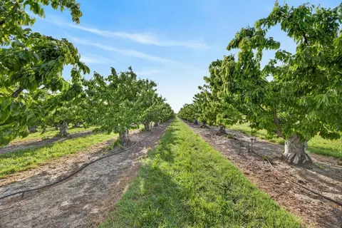 0 Andrus Island Rd, Isleton, CA 95641 photo 19