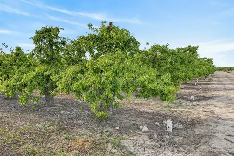 0 Andrus Island Rd, Isleton, CA 95641 photo 26