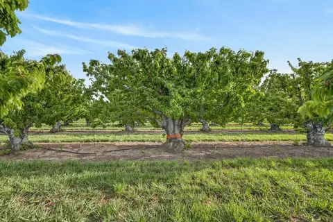 0 Andrus Island Rd, Isleton, CA 95641 photo 21
