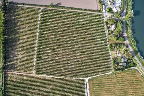 0 Andrus Island Rd, Isleton, CA 95641 photo 10