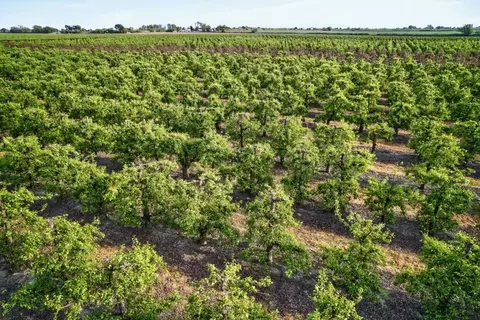 0 Andrus Island Rd, Isleton, CA 95641 photo 32