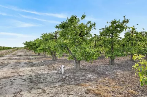 0 Andrus Island Rd, Isleton, CA 95641 photo 25