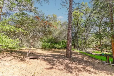 Exterior - 830 Sheep Ranch Rd, Murphys, CA 95247 photo 9 of 19
