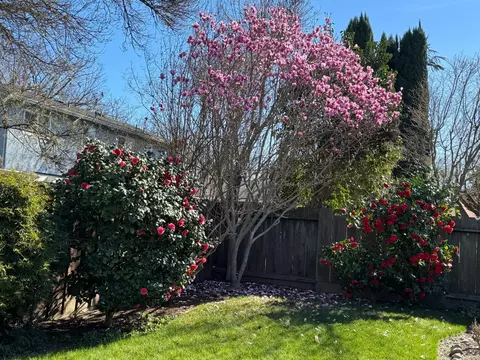 Exterior - 3600 Coye Oak Dr, Modesto, CA 95355 photo 10 of 18