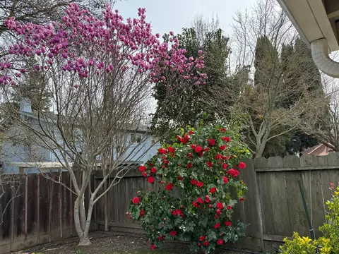 Exterior - 3600 Coye Oak Dr, Modesto, CA 95355 photo 11 of 18