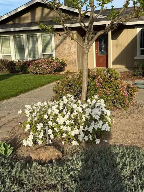 Exterior - 3600 Coye Oak Dr, Modesto, CA 95355 photo 18 of 18