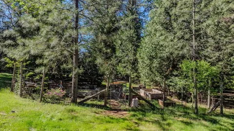 Exterior - 22401 Shake Ridge Rd, Volcano, CA 95689 photo 16 of 32