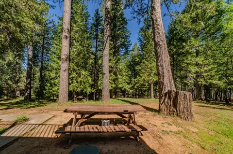 Exterior - 22401 Shake Ridge Rd, Volcano, CA 95689 photo 25 of 32