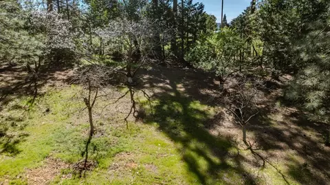 Exterior - 22401 Shake Ridge Rd, Volcano, CA 95689 photo 20 of 32