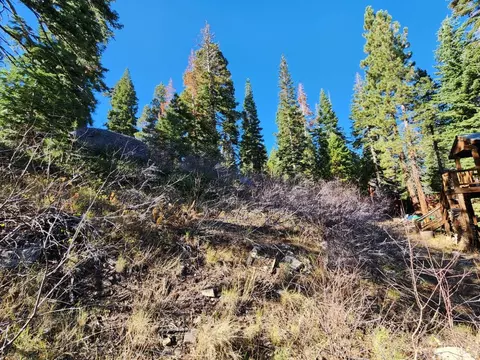 148 John Ebbetts Rd, Bear Valley, CA 95223 photo 7