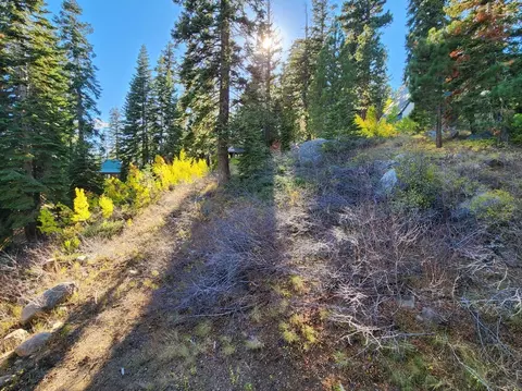 148 John Ebbetts Rd, Bear Valley, CA 95223 photo 8