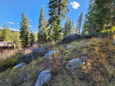 148 John Ebbetts Rd, Bear Valley, CA 95223