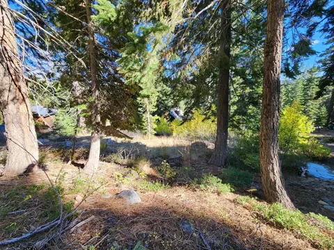 148 John Ebbetts Rd, Bear Valley, CA 95223 photo 4