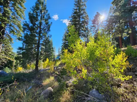 148 John Ebbetts Rd, Bear Valley, CA 95223 photo 2