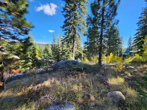 148 John Ebbetts Rd, Bear Valley, CA 95223 photo 3