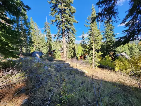 148 John Ebbetts Rd, Bear Valley, CA 95223 photo 5