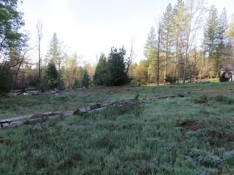 Exterior - 190 Bald Mountain Rd, West Point, CA 95255 photo 10 of 14