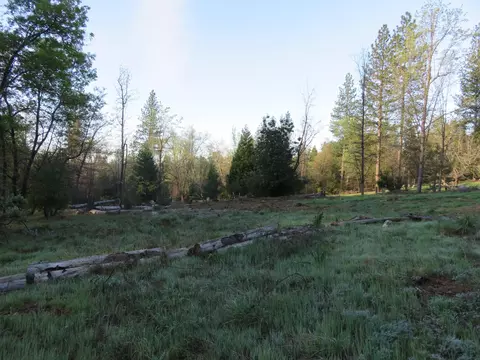 Exterior - 190 Bald Mountain Rd, West Point, CA 95255 photo 11 of 14