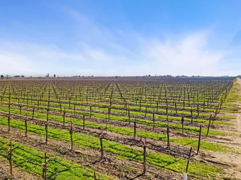 10400 E Harney Ln, Lodi, CA 95240 photo 15