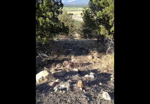 0 Juniper Peak Rd, Weed, CA 96094 photo 2