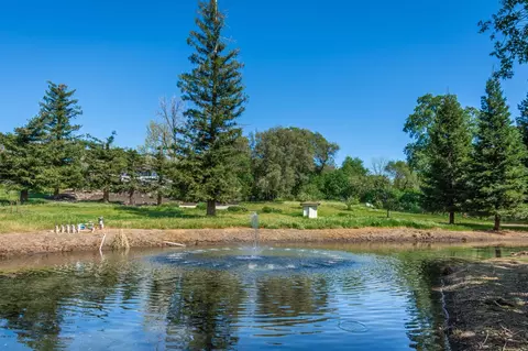 View/Area - 8501 King Rd, Loomis, CA 95650 photo 17 of 17