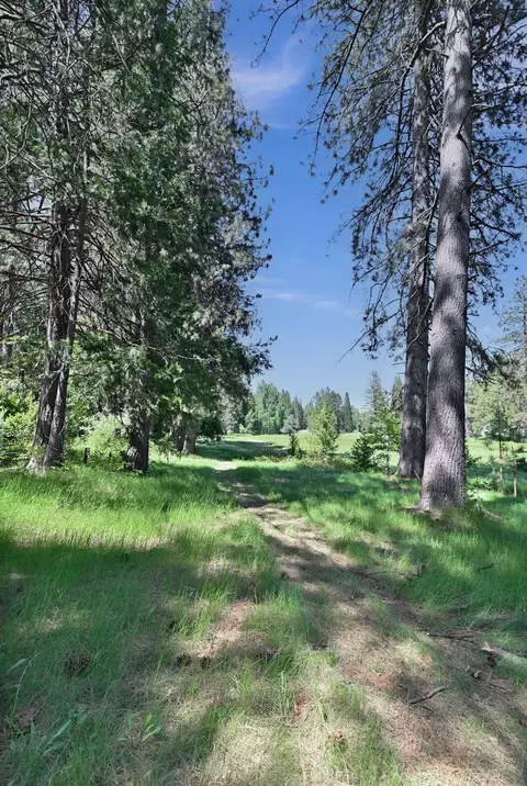 Other - 1801 Pine Dr, Arnold, CA 95223 photo 5 of 8