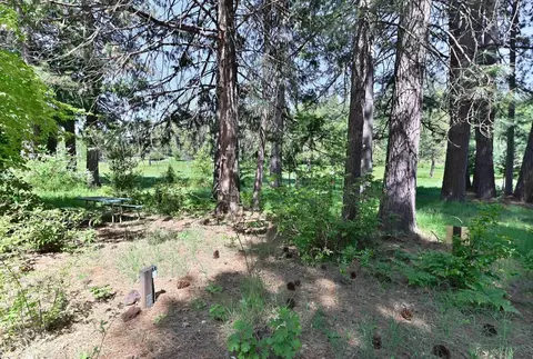 Exterior - 1801 Pine Dr, Arnold, CA 95223 photo 22 of 30