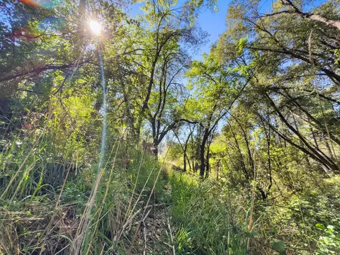 22666 Lower Quail Mine Rd, Sonora, CA 95370 photo 17