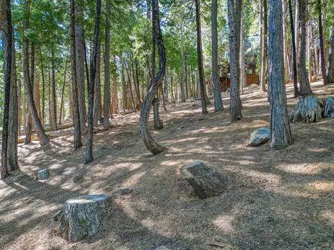 Exterior - 758 Yuroc, Dorrington, CA 95223 photo 9 of 12