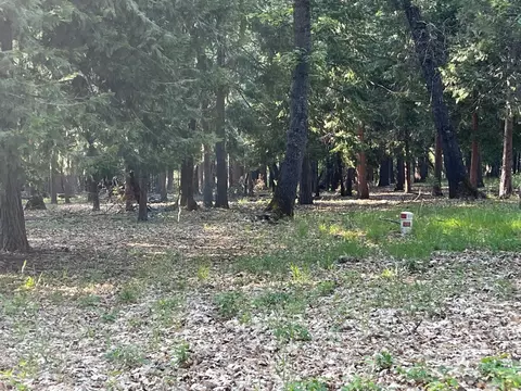13117 Madrone Forest Dr, Nevada City, CA 95959
