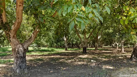 5210 N Fine Rd, Linden, CA 95236 photo 4
