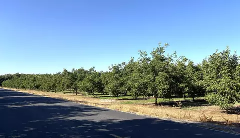 5210 N Fine Rd, Linden, CA 95236 photo 2